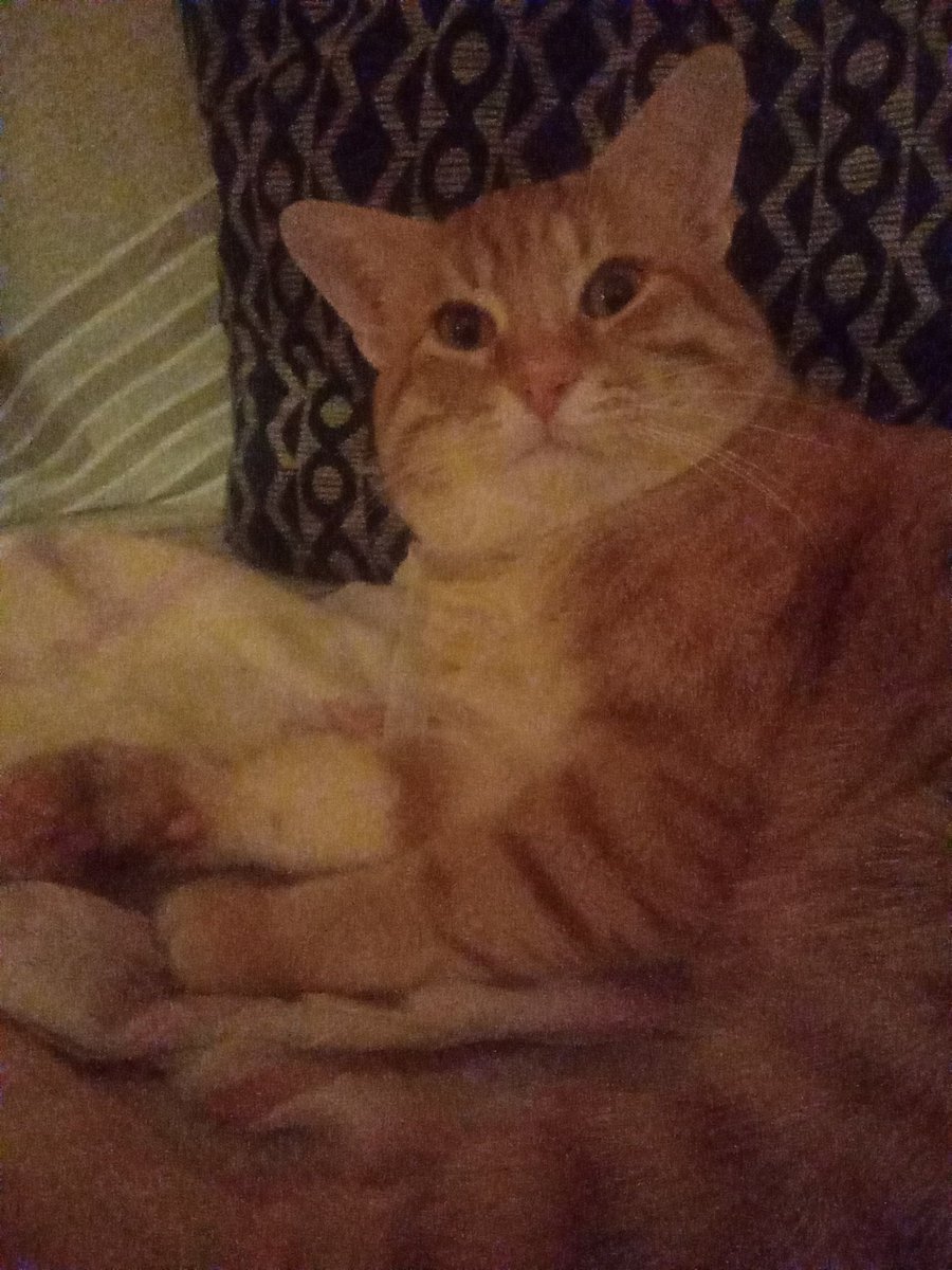 Δεν πεινούσε, νόμιζε πως πεινούσε.
Άσε που έχει και αποθέματα