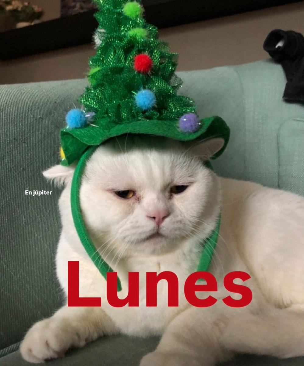 Carolin4Navarr0's tweet image. Ya tengo el espíritu de navidad 💃✨️