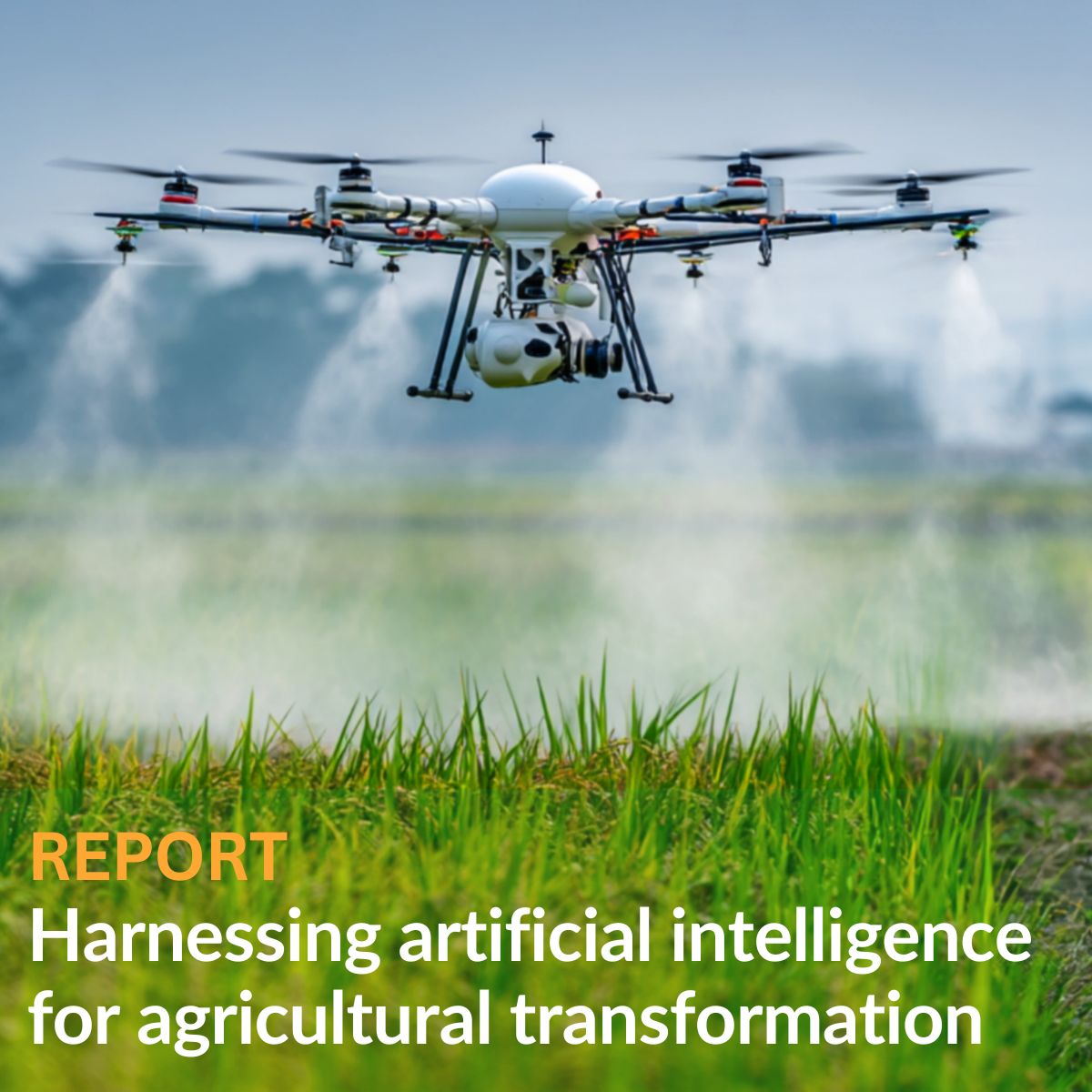 IFC Africa tweet media