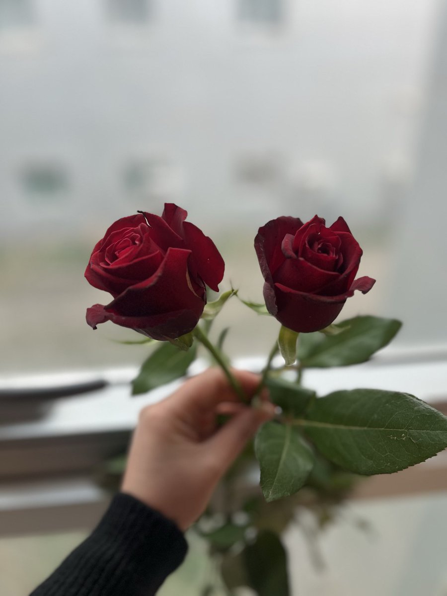 kaderblq's tweet photo. #tıbbisekretergünü🌹 https://t.co/qaRS16PUlX