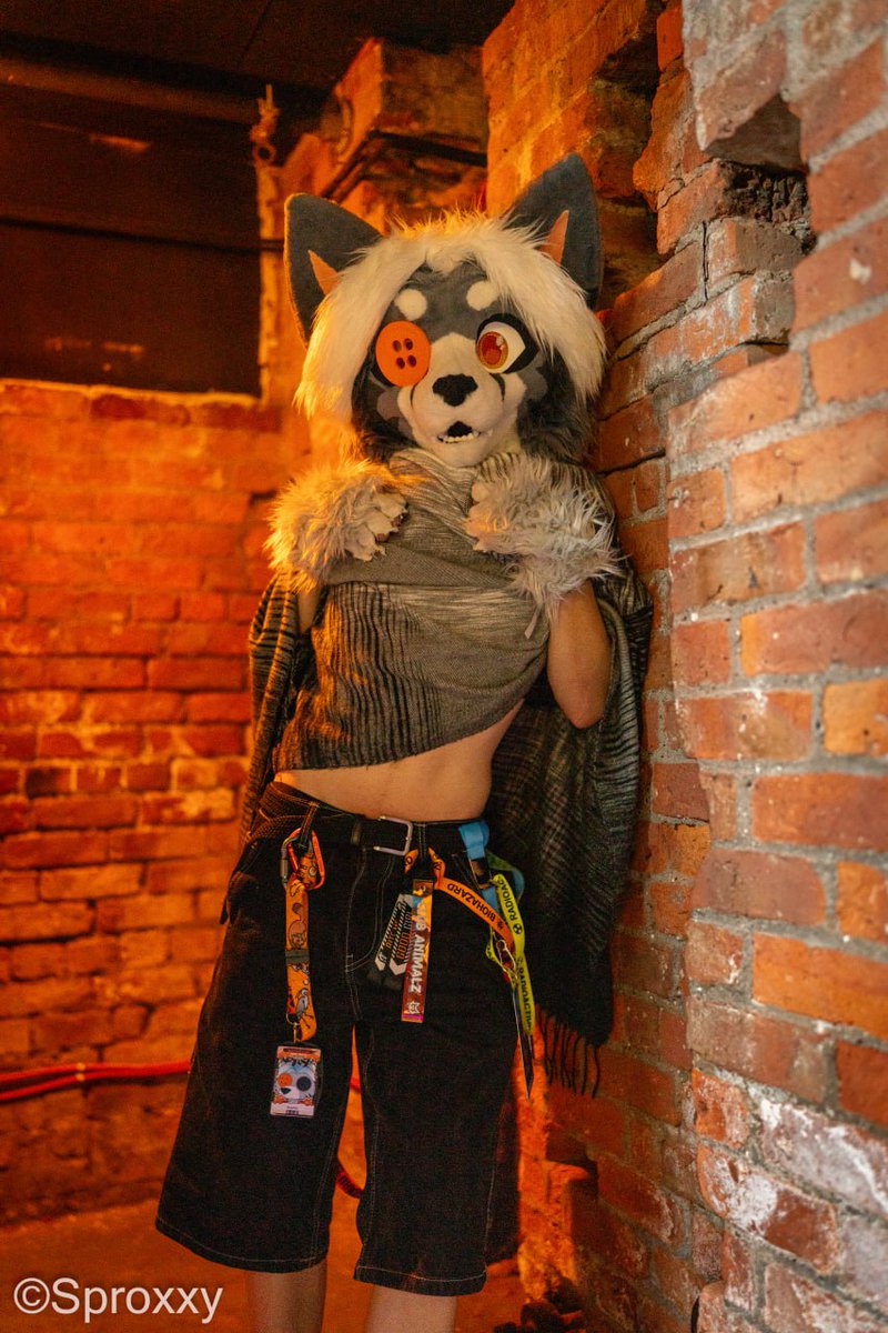 You've spotted a backalley cat! What do u do? Ø.o

(jk, I'm a housecat through n through!)

📸 <a href="/SproxxyHusky/">🏳️‍🌈🇩🇰Sproxxy Husky 🔜 NFC</a>