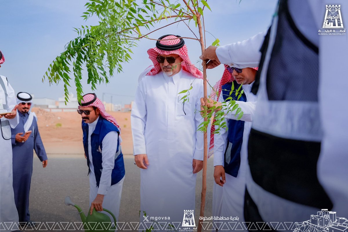 mgovsa's tweet photo. تحت رعاية كريمة من صاحب السمو أمير منطقة الباحة،
قام سعادة محافظ المخواة الأستاذ غلاب بن غالب أبو خشيم بتدشين مبادرة "تشجير مركز ناوان"، بحضور رئيس #بلدية_محافظة_المخواة المهندس سعيد بن صالح الزهراني، ورئيس مركز ناوان الأستاذ عبدالعزيز شاكر، ورئيس الغرفة التجارية الأستاذ أحمد الخرش، بالإضافة إلى مشاركة قطاع التعليم والزراعة، وعدد من الجمعيات والفرق التطوعية. تأتي هذه المبادرة في إطار الجهود المبذولة لتعزيز الغطاء النباتي في المحافظة والمراكز التابعة لها.

#وزارة_البلديات_والإسكان
#أمانة_منطقة_الباحة