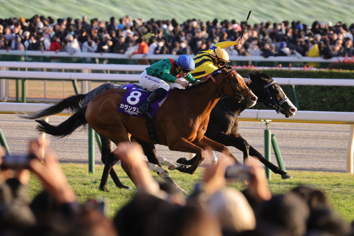 gonsuke19840122's tweet photo. フランス🇫🇷のカランダガンが外国調教馬として２０年ぶりに勝利🏆️👏しかもレコードタイム⏱️欧州年度代表馬の意地と誇りを見せていただきました‼️もう帰るんだなぁ。また来て欲しい。何なら有馬記念にも。日本に来てくれて本当にありがとう🙇‍♂#ジャパンカップ #カランダガン #ミカエルバルザローナ https://t.co/HbTq4w0AgW