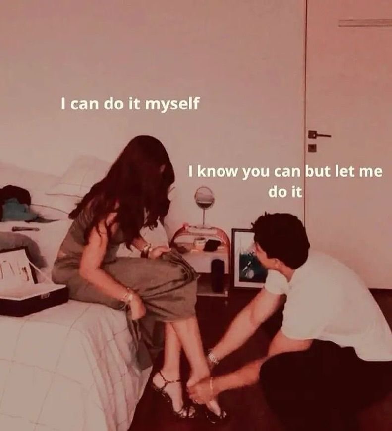 circirbocegisi's tweet image. 