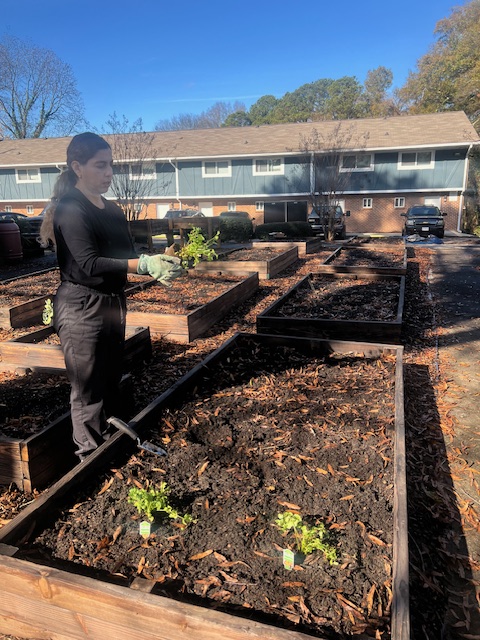 Hand, Heart, and Soul Project tweet media