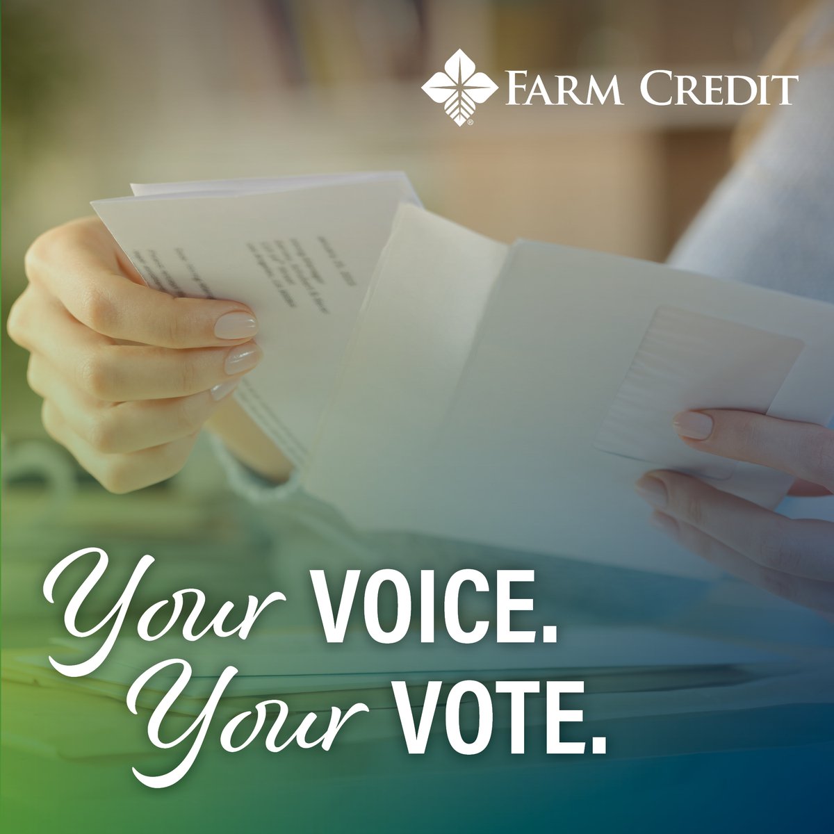As a cooperative member, your vote helps shape the future of Horizon Farm Credit. Cast your ballot for Board of Directors and Nominating Committee members before December 4. 
👉 Learn more at horizonfc.com/elections.
