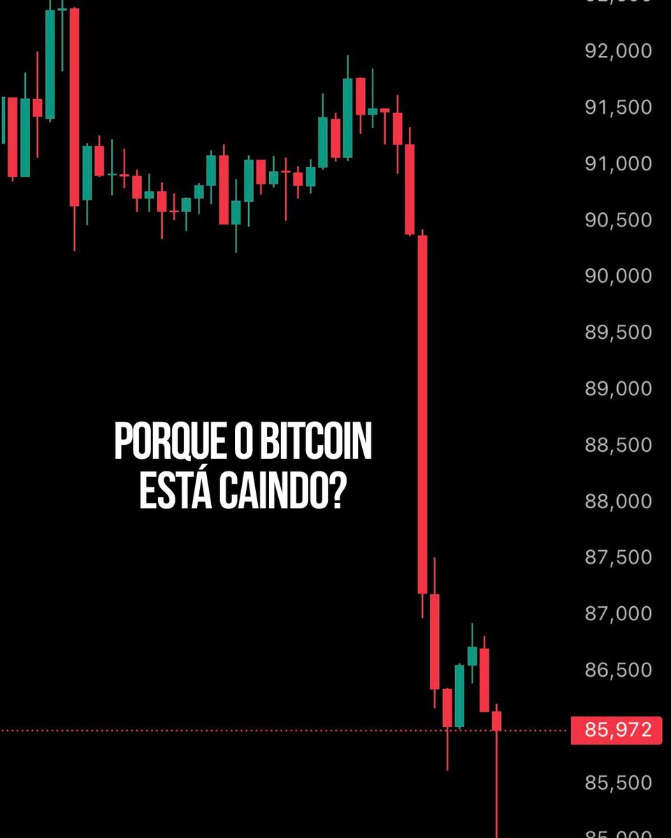 Vinícius Bitelo tweet media