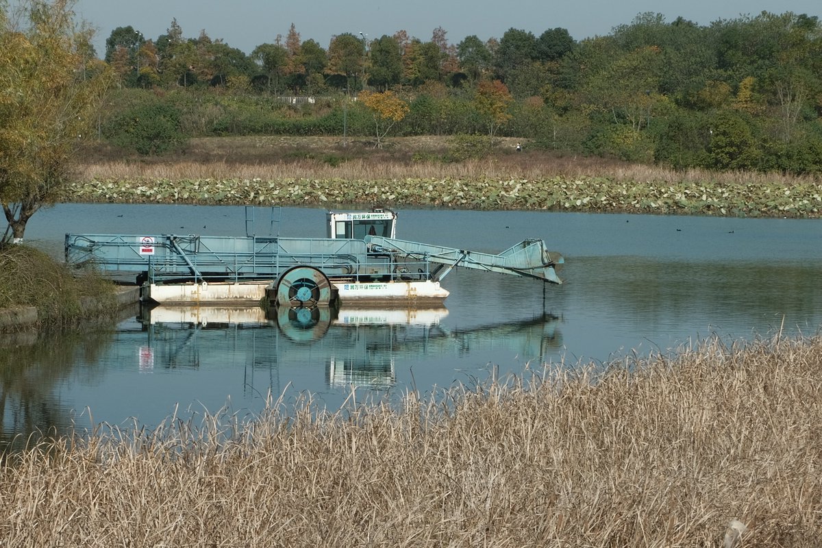 十二月审美积累