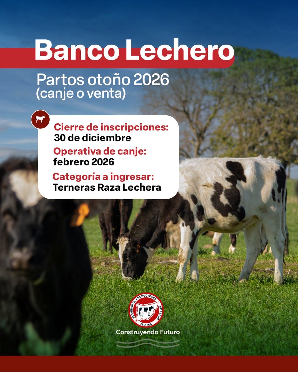 _splf's tweet image. 🔔 Banco Lechero – Partos Otoño 2026
Ya están abiertas las inscripciones para canje o venta 🐄 

Asegurá tu lugar y planificá con tiempo tu próxima zafra.

#splf #bancolechero #inscripciones