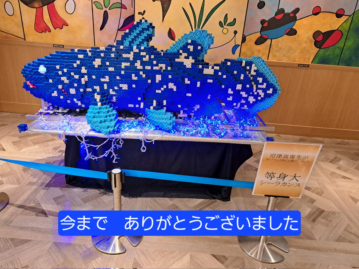 TKYTRIZ's tweet photo. 昨年10月から　ららぽーと沼津　Mercado DE SAMASA　さんで展示させていただいていた　3Dブロックシーラカンス　本日をもって展示を終了しました。　
　
　見にきていただいた皆さま　ありがとうございました🙇

#3Dブロックシーラカンス
#幸せを呼ぶ魚
#駿河湾
#知財のTKY 
#TKY https://t.co/nvyJMqcH1j