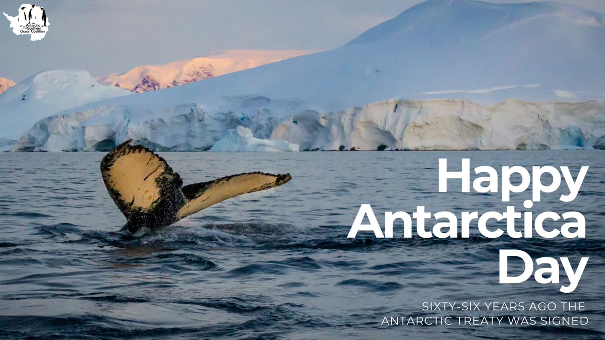 Antarctic and Southern Ocean Coalition tweet media