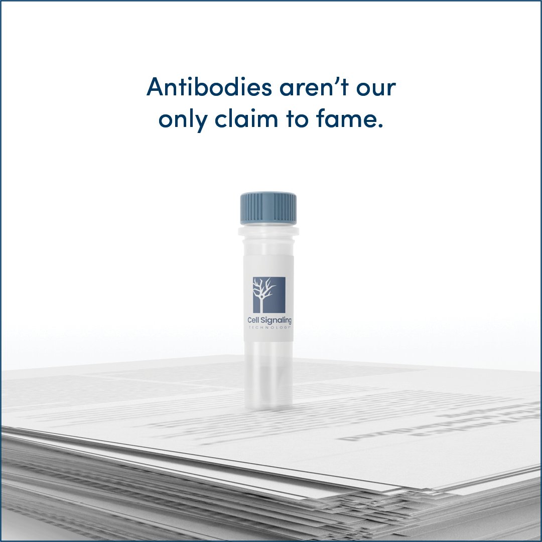CellSignal's tweet image. The CST scientists developing your favorite research tools are also facilitating exciting discoveries and publishing papers—more than any other antibody company’s. By far.

Check them out here: hubs.ly/Q03JD0kv0