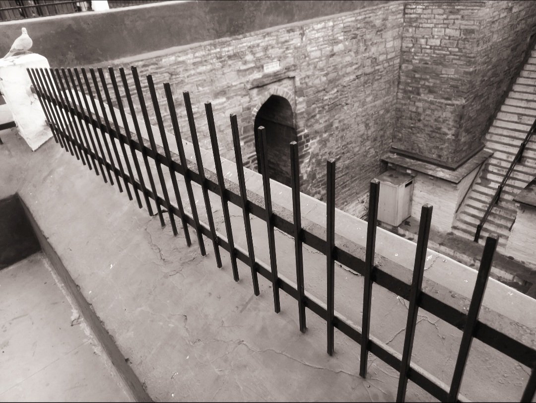 Kashi