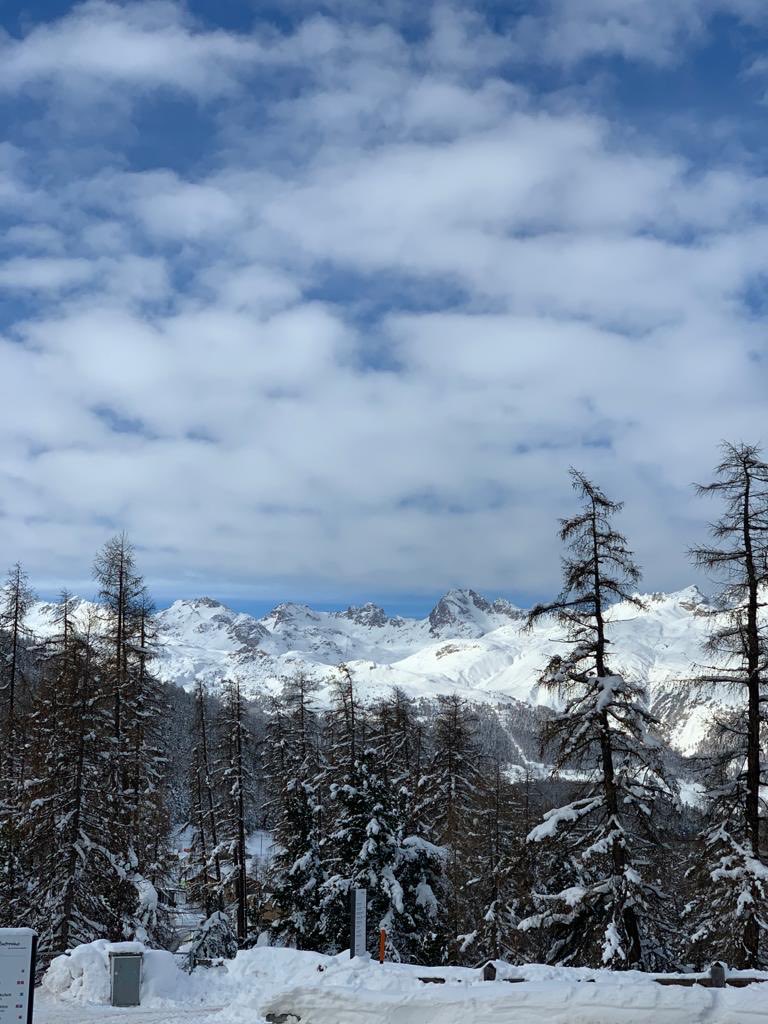 marisa biancotti (@marisabiancotti) on Twitter photo 