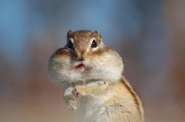 TrueVisions's tweet image. Crtl  C + Crtl V

#TruevisionNOW #GMM 
#MuTeLuv #แม่ไม้มวยรำ #MuTeLuvFistFootFusionEP3 #skywongravee