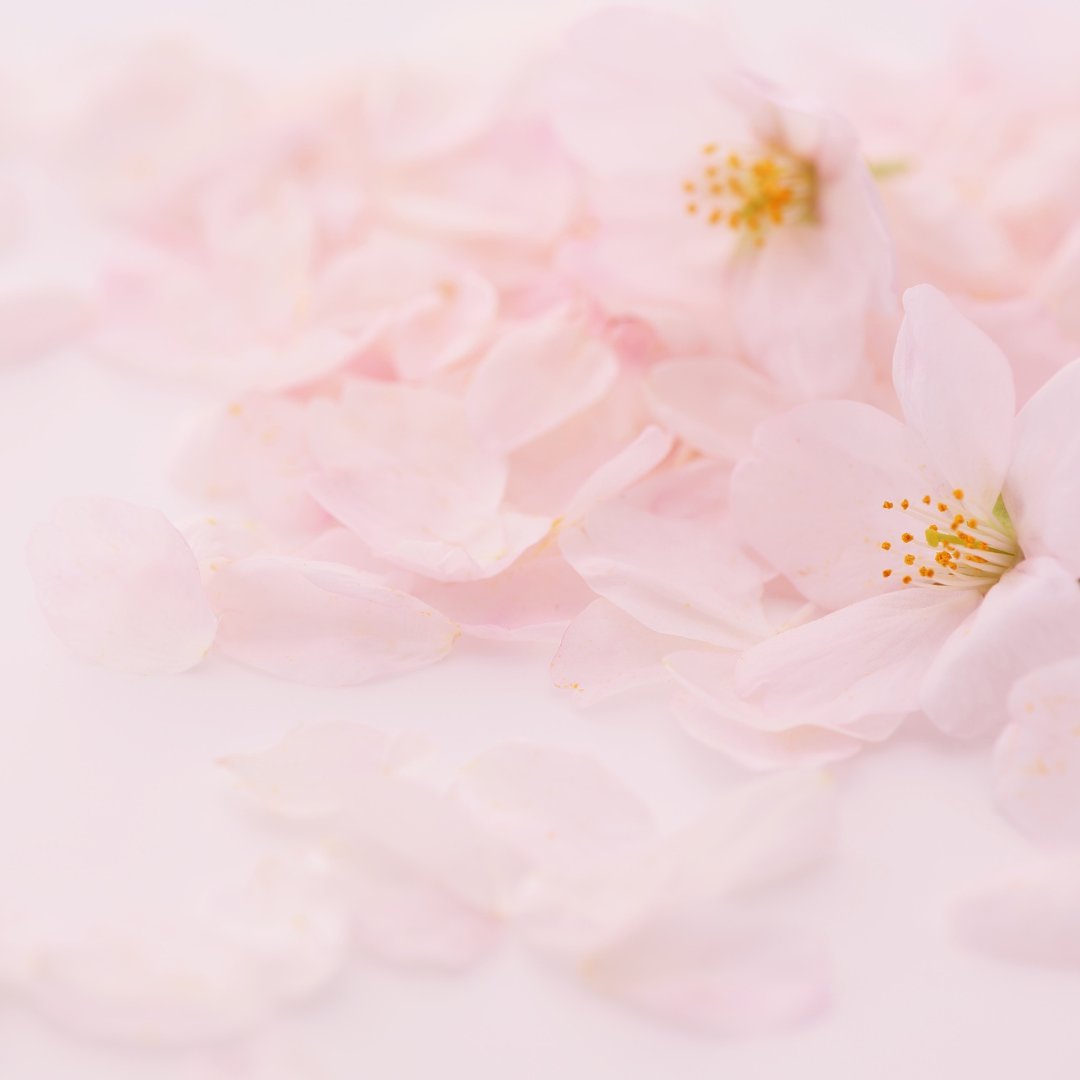 🌊ฝากคนใจดีรีหน่อยค่ะ🌊 
!! แจ้งปลดเหรียญ !! #รับรับได้ไหม 

˚₊‧꒰ა  ตอนที่ 15.2 ໒꒱ ‧₊˚ 🔥NC🔥
**มี Kink เฉพาะนิดหน่อยนะคะ อ่านหัวตอนก่อน**

“งั้นพี่เริ่มก่อนนะ…”

readawrite.com/c/b660bd0dfd98…