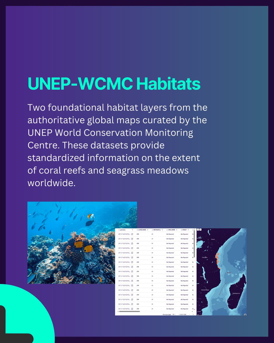 HubOcean_'s tweet image. PART 2: What’s new? 🌊✨ New and improved features, fresh datasets, and an even smoother experience. Dive into our November release note! 📘🔍  #HUBOcean #OceanData #DataForGood #BlueEconomy #TechForImpact #Sustainability #MarineScience #OceanInnovation