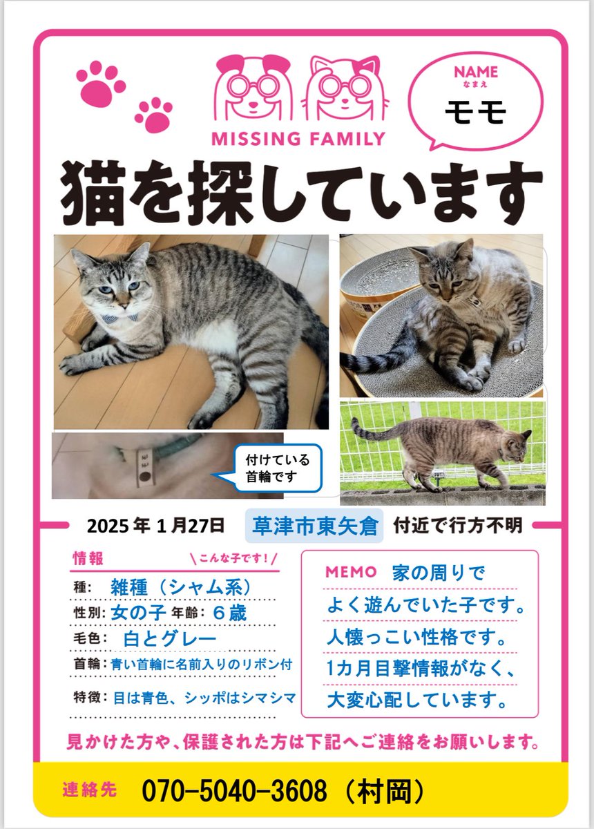 5YL4JwgjXW81781's tweet photo. ⚠️まだ探しています🥲猫行方不明の為、拡散ご協力お願いします😿滋賀県草津市東矢倉付近で1/27から猫がいなくなり、10ヶ月🥲草津市以外でも何か情報があればよろしくお願いいたします🙏(代理投稿です)
#草津市
#滋賀県
#東矢倉
#南笠
#南笠東小学校
#野路
#迷い猫
#拡散希望　
#ペット
#飼い猫 https://t.co/V4N3KnuISy