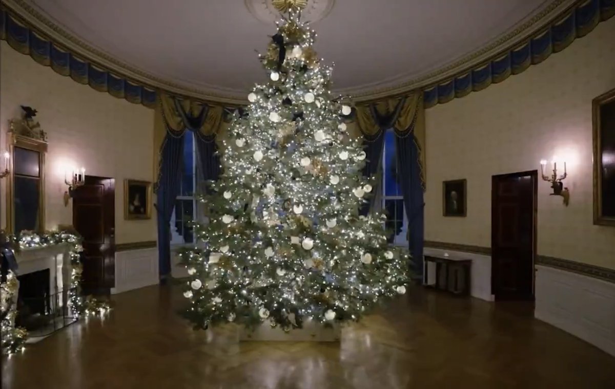The official 2025 White House Christmas tree in the Blue Room 💙