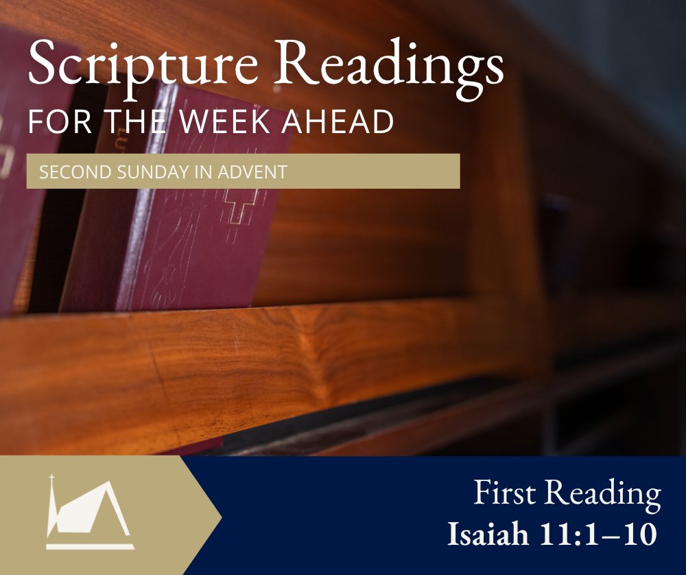 CTSFWedu's tweet image. The First Reading for this coming Sunday in the Three-Year Lectionary (Series A) is Isaiah 11:1–10. For the full reading, visit bit.ly/484UAMo.