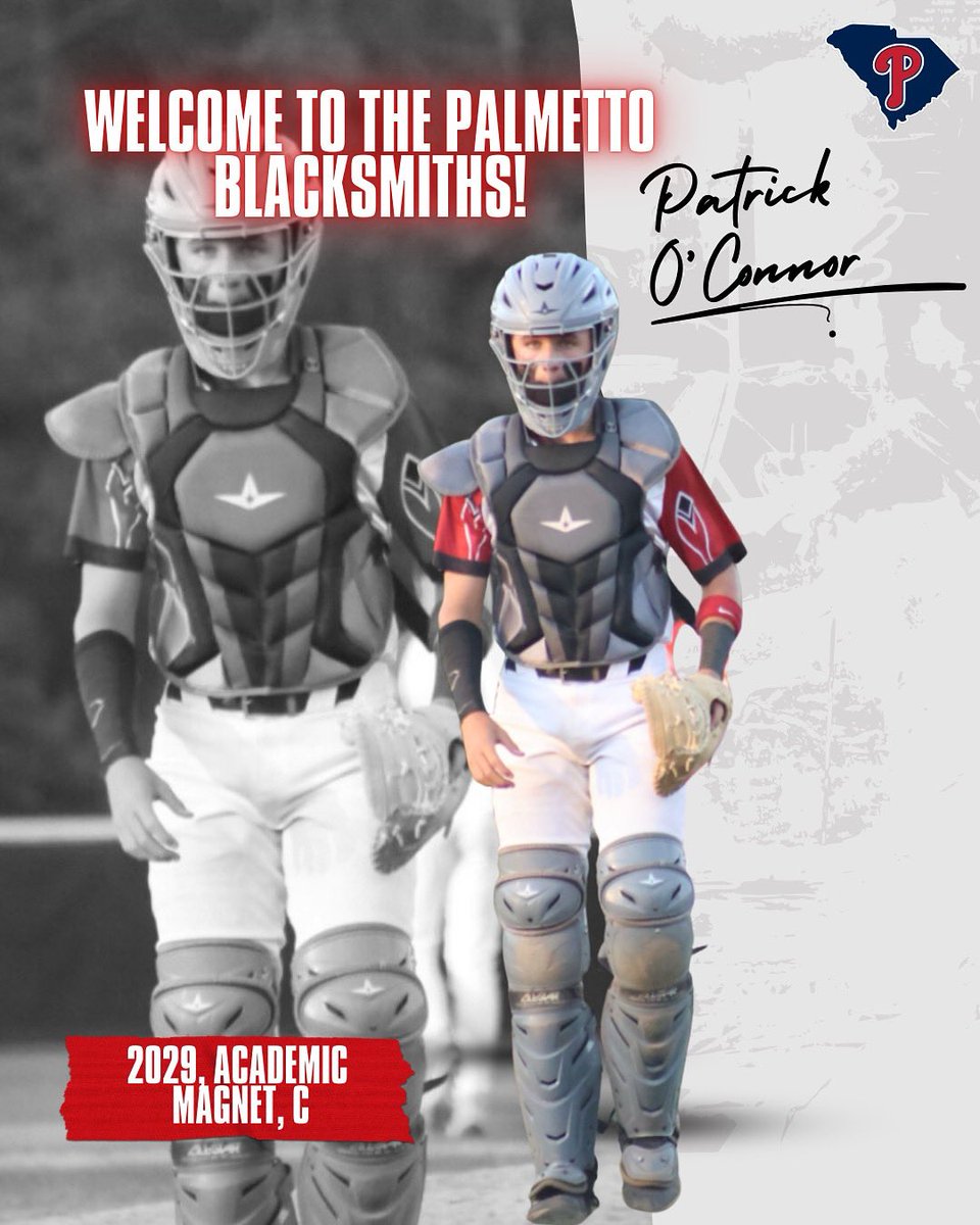 Palmetto Blacksmiths Baseball tweet media