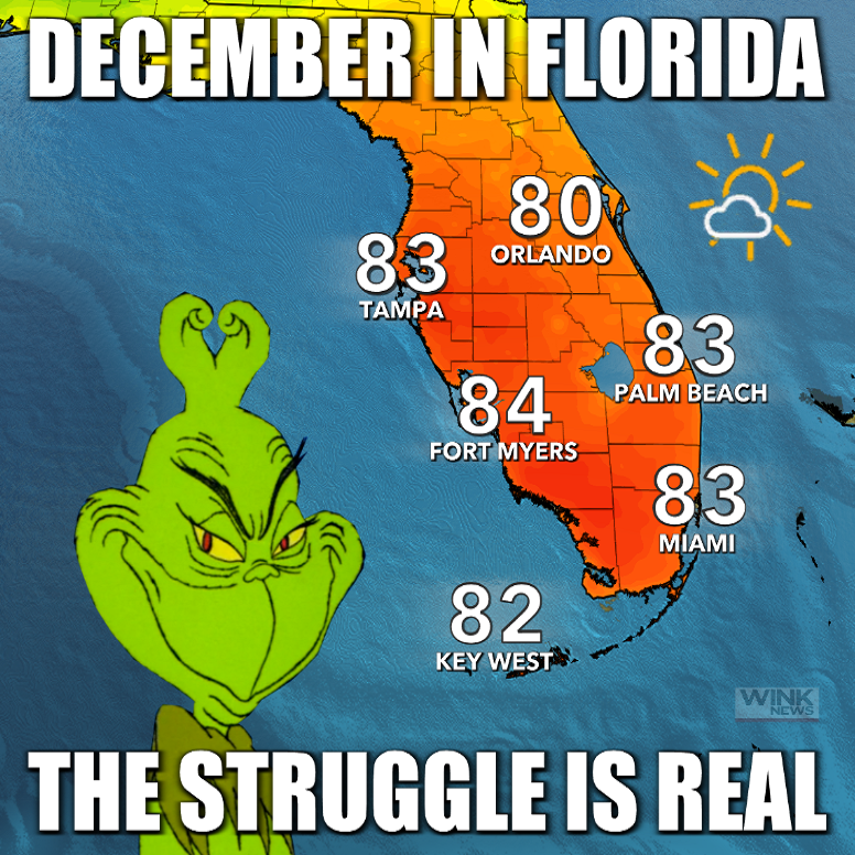 Happy first day of December from Florida! 🌤️🌴