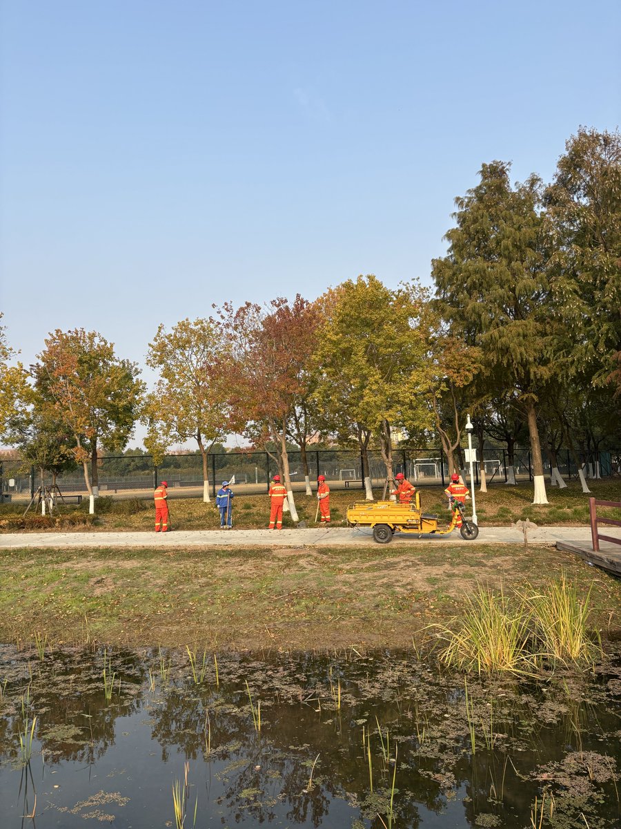 这才是秋天该有的样子啊