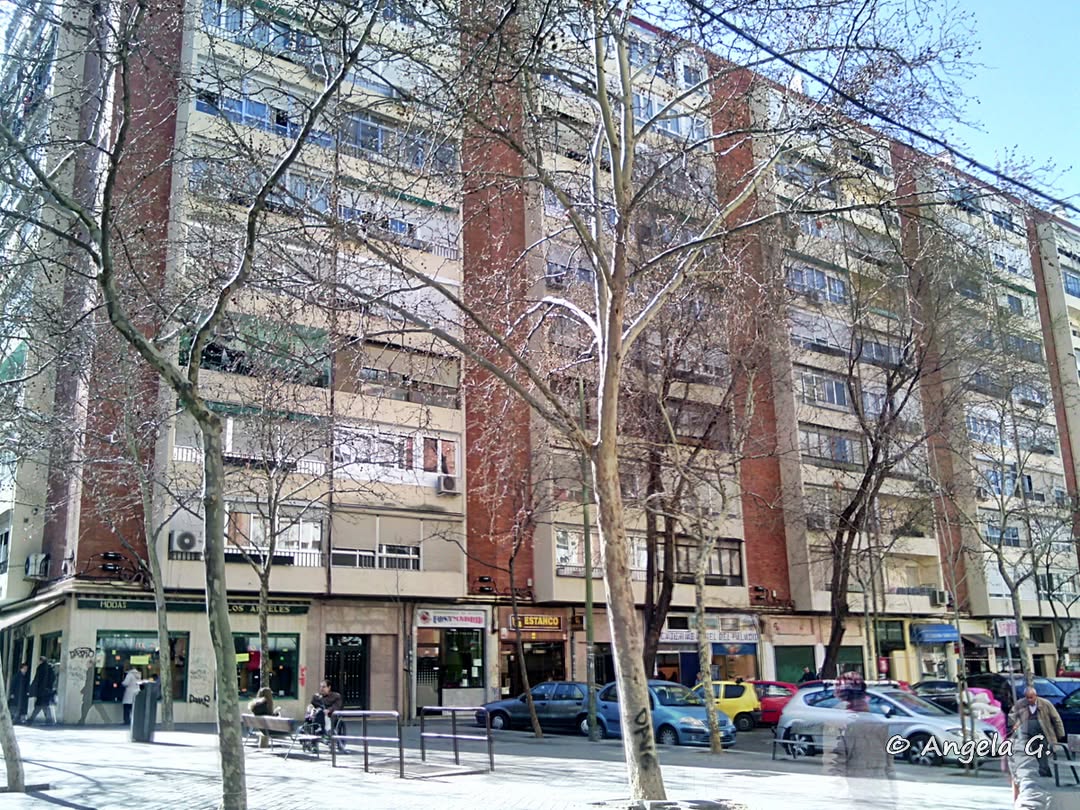 Refranes
• En diciembre sale el sol con tardura y poco dura
• En las frías noches de diciembre si ves lucir la luna blanca, echa en la cama cobertor y manta
• Si en diciembre hay sol templado suele ser un solapado
• En diciembre cuatro horas de sol y el resto nubarrón
#Madrid