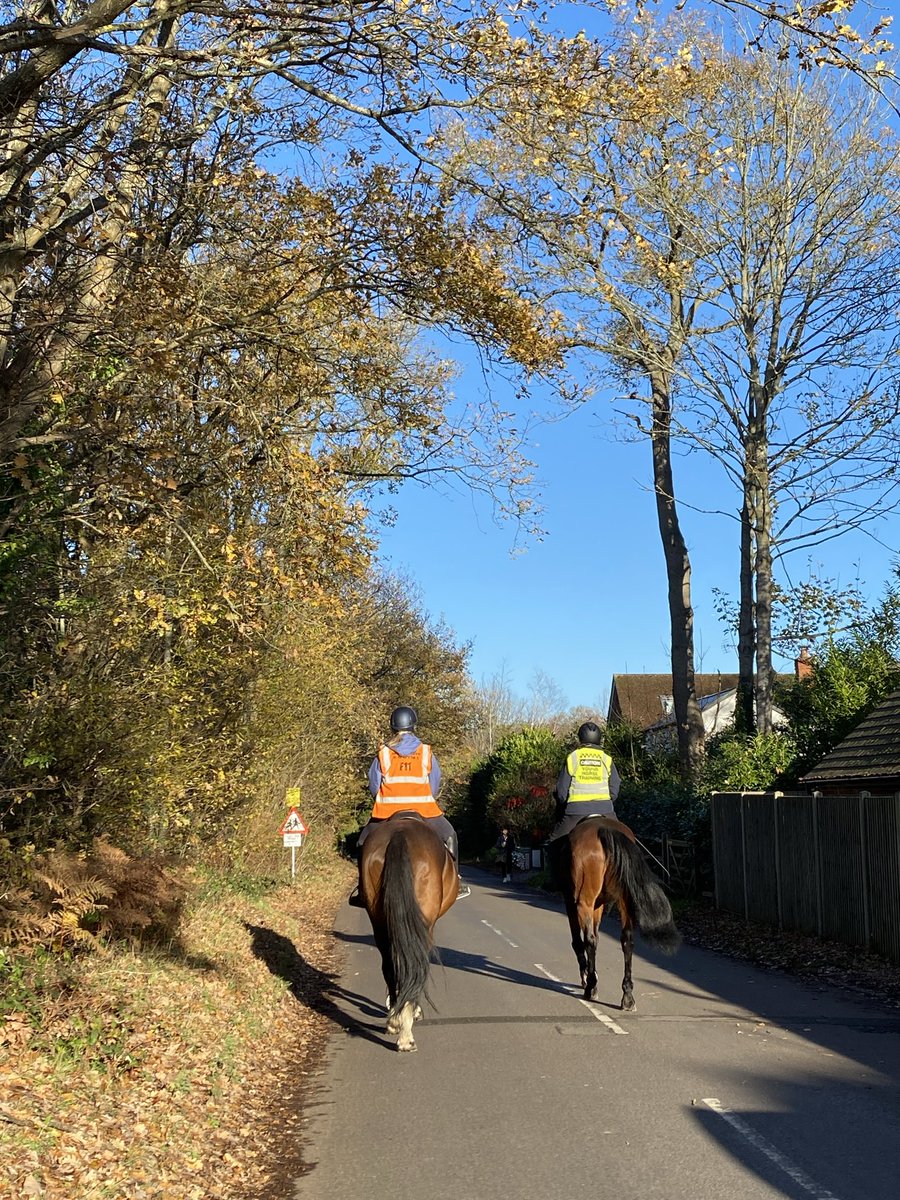 odegaardist's tweet image. After watching @LoschbourStev ‘s account for some weeks, I realized there’s actually decent people on this app that enjoy sharing and aesthetics

I’ll try sharing more pictures that I take, mostly from daily life and walks. Thanks for the inspiration Stev.