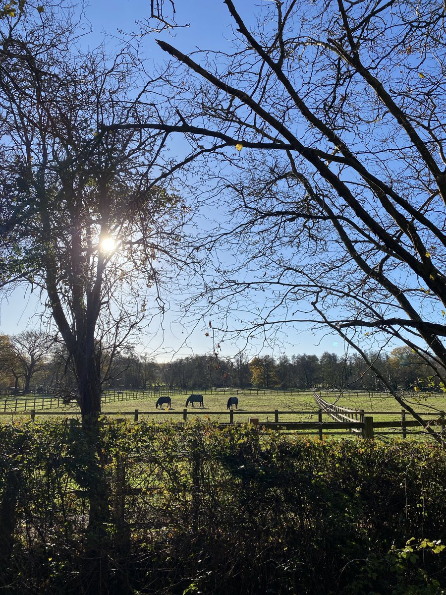 odegaardist's tweet image. After watching @LoschbourStev ‘s account for some weeks, I realized there’s actually decent people on this app that enjoy sharing and aesthetics

I’ll try sharing more pictures that I take, mostly from daily life and walks. Thanks for the inspiration Stev.