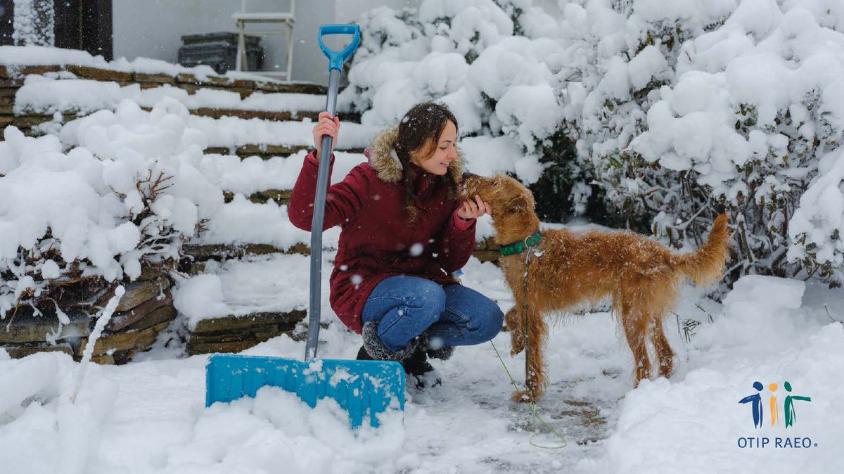 osbcucscso's tweet photo. Prepare for winter! ❄️ Ensure your home is safe &amp; warm with our cold weather tips. Plus, get a $30 gift card for insurance quotes! Call 1-888-892-4935. #OTIPUpdate Read more: https://t.co/Yu90MTcxQ9 https://t.co/I6WVD3UHIb