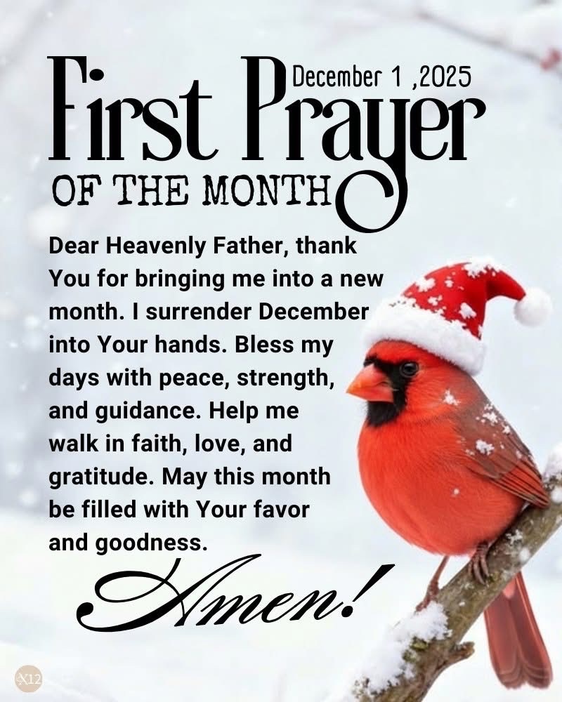 Frank J Brescia (@brescia_frank) on Twitter photo 