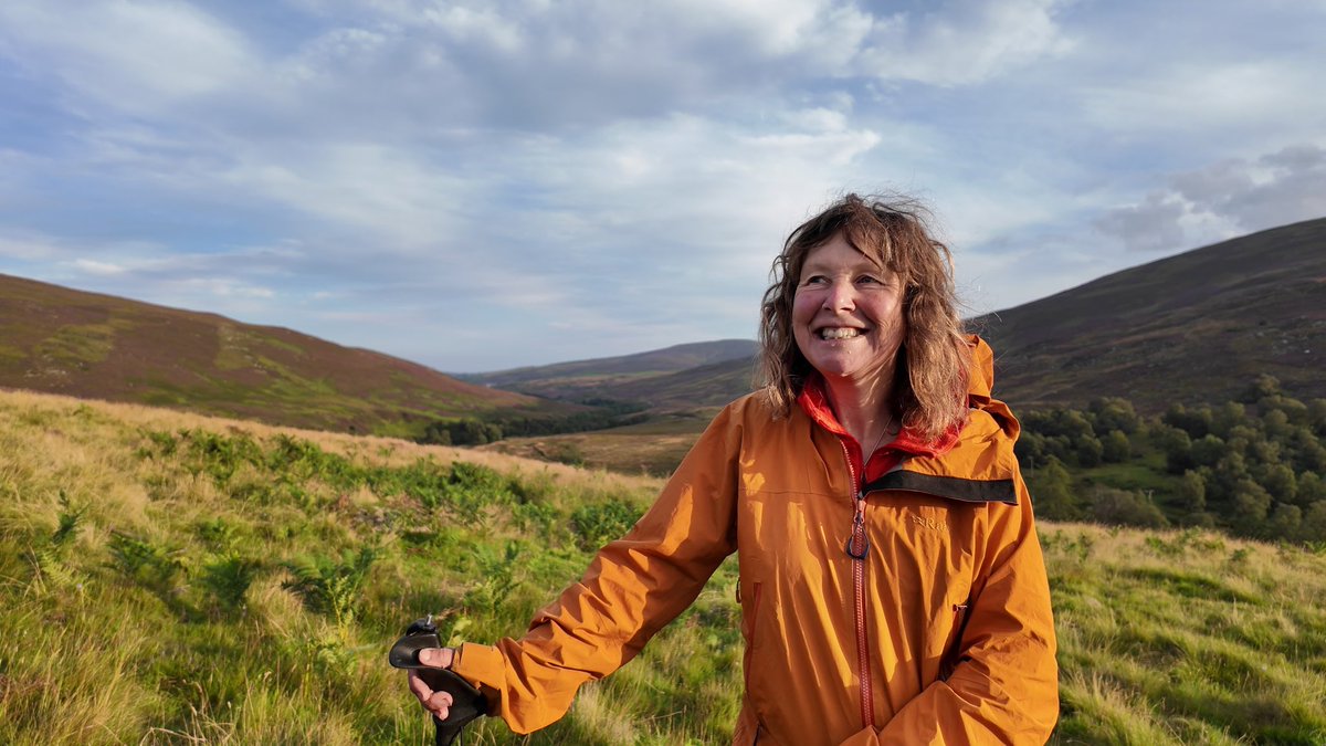 DundeeMntFilmFest tweet media