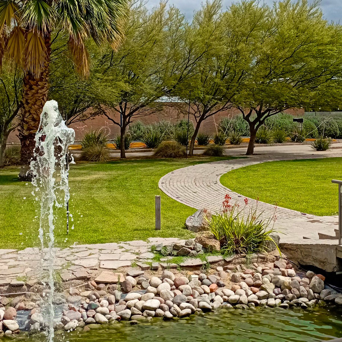 Bodega SINFIN tweet media