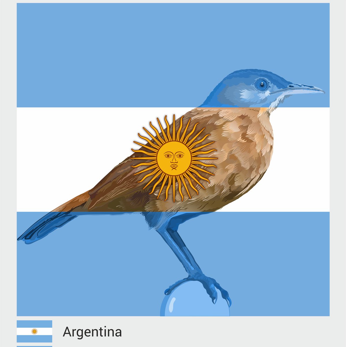 Fusion of symbols.
Argentina’s spirit through its national bird 🇦🇷🕊️
Animalsandflags.com
