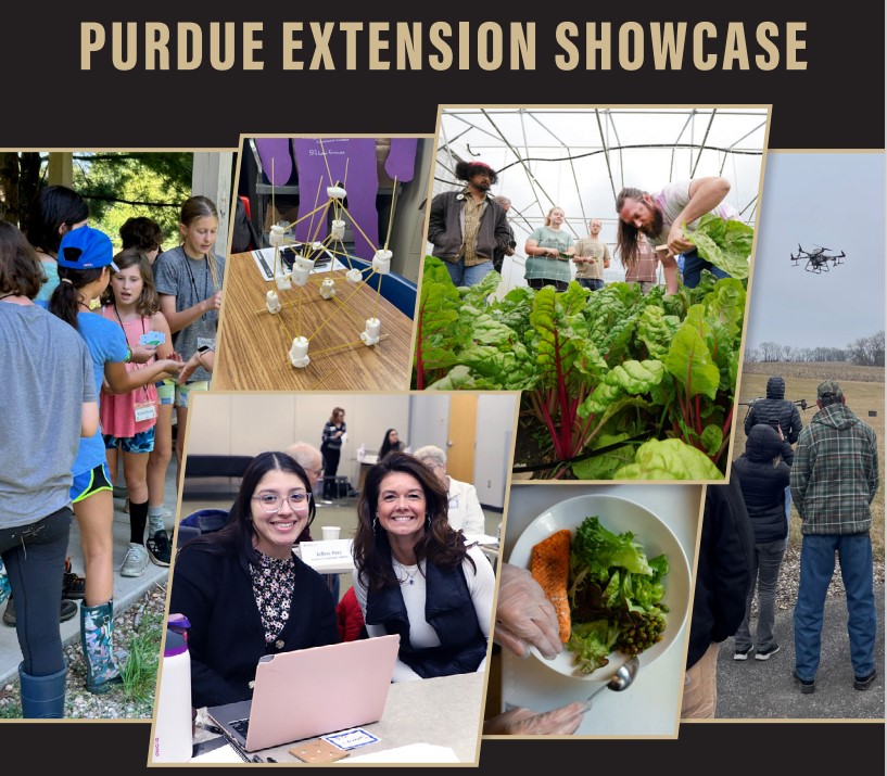 PurdueExtension's tweet image. Discover the 2025 Purdue Extension Showcase, featuring statewide efforts from @Indiana4h, @PurdueCDExt, health and human sciences and agriculture and natural resources. The report shares how these programs help strengthen agriculture, support families and build community. Read…