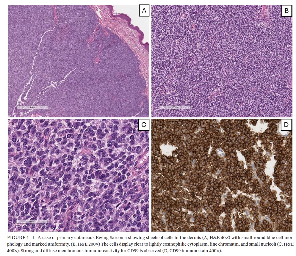 Konstantinos LinosMD tweet media