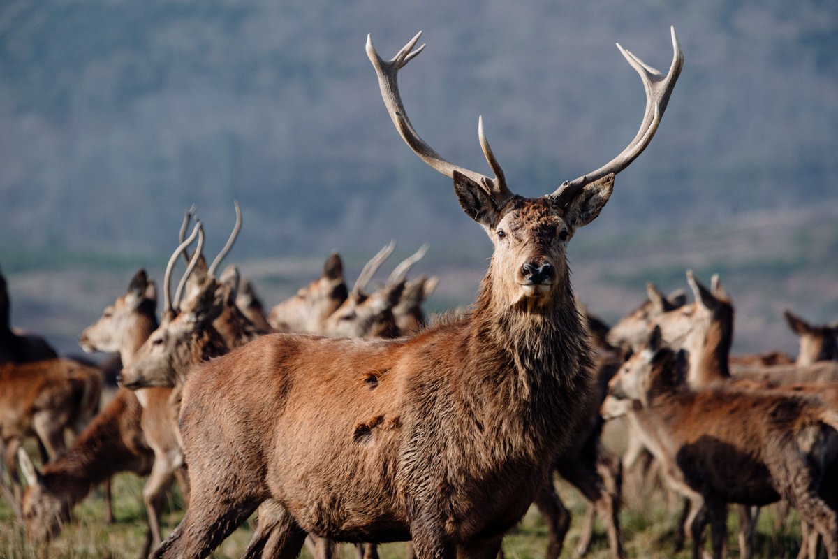 ‘Tis the season of hibernation, and Neath Port Talbot is the perfect place to curl up for a peaceful retreat 🧦

Visit our website to discover all of the accommodation spots we have to offer.

-

Mae'n dymor gaeafgysgu, a Chastell-nedd Port Talbot yw'r lle perffaith i swatio a