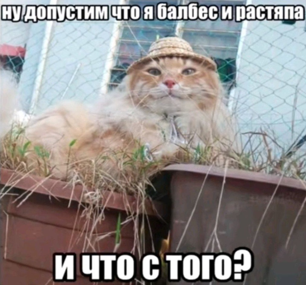 Gribanov ☢ ᓚᘏᗢ (@gribanov) on Twitter photo 