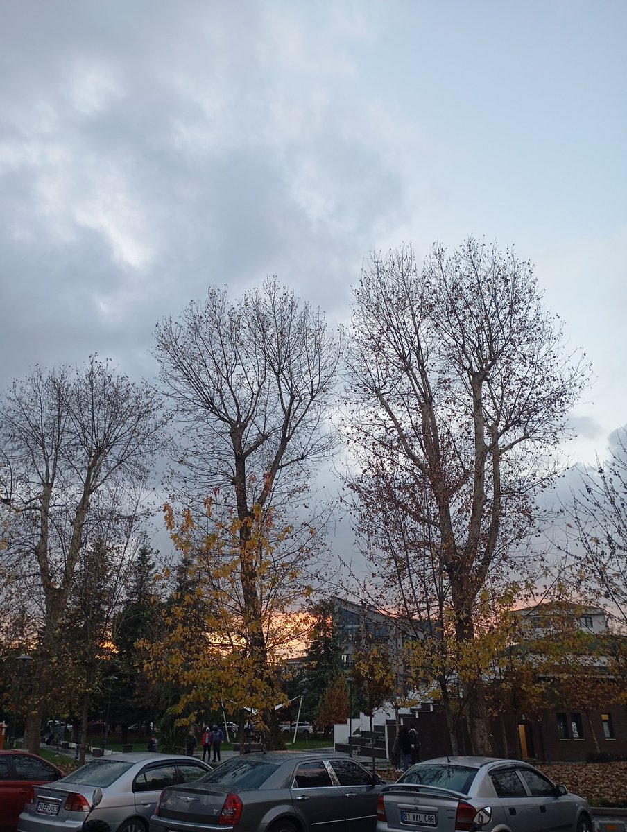 Güzel ve kolu kırık