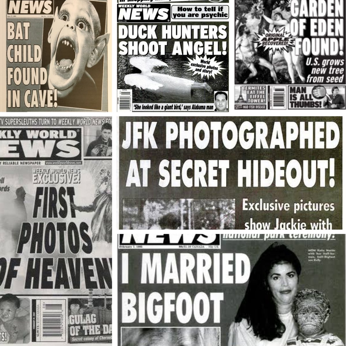 aborteddreams tweet media