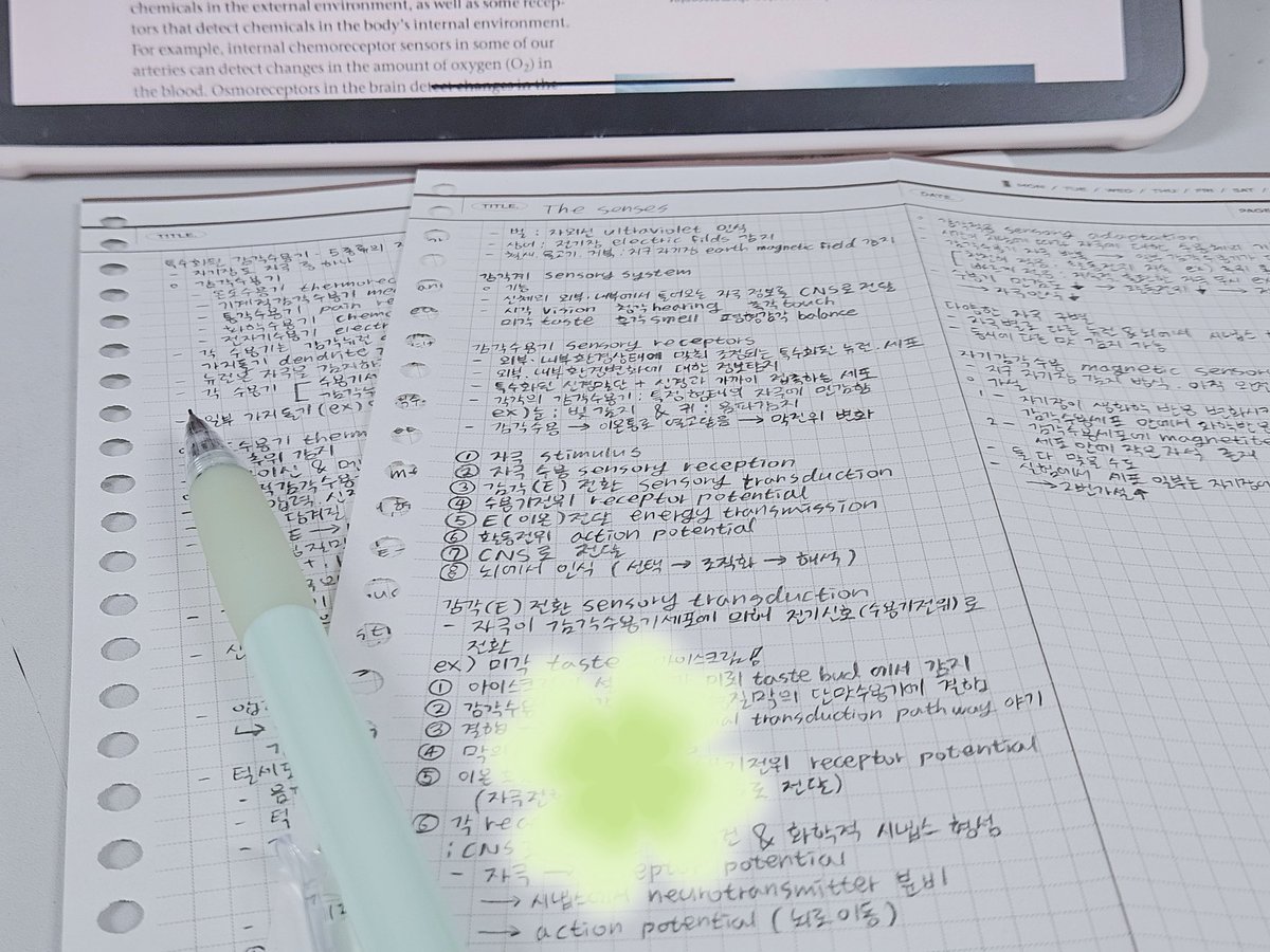 studystudyday's tweet image. 12월도 파이팅💪
2주면 종강이당. . !