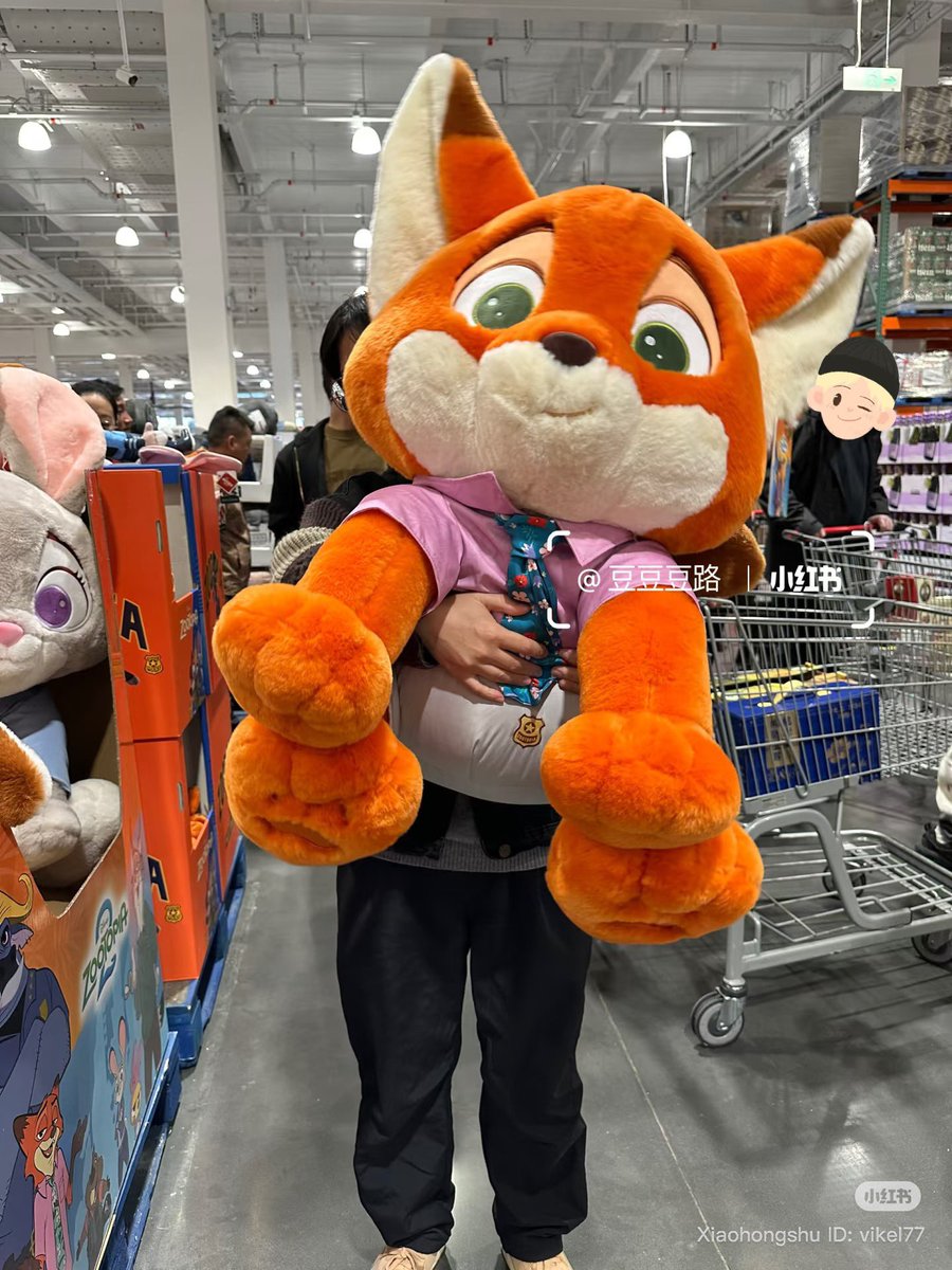 littlestuffbyme's tweet image. คือตัวใหญ่กว่าคน 🥹