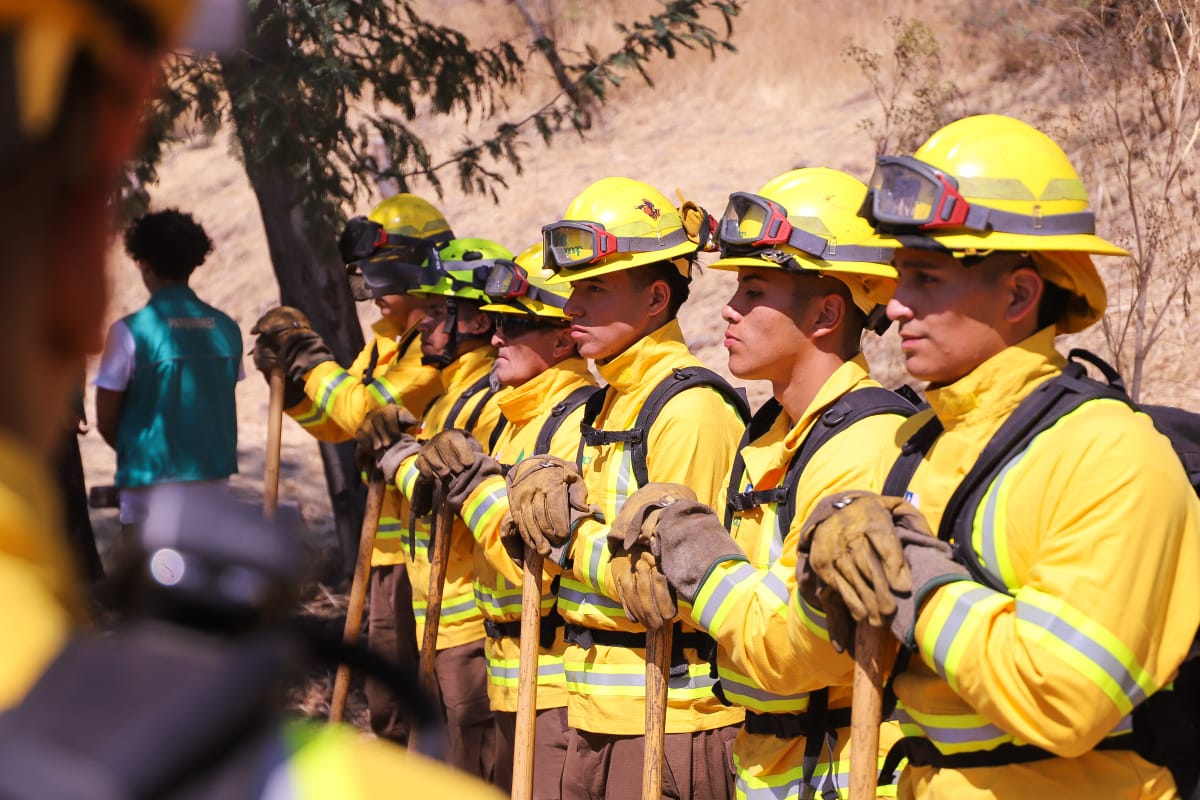 Fortalecemos la protección contra incendios forestales con casi 5 mil kilómetros de cortafuegos 🚫🔥

👉 Las ministras Ignacia Fernández y Jessica López junto a <a href="/conaf_minagri/">CONAF - Corporación Nacional Forestal</a>, <a href="/Senapred/">SENAPRED</a> y <a href="/parquemetminvu/">Parquemet</a> presentaron el Plan Nacional de Cortafuegos para prevenir y mitigar