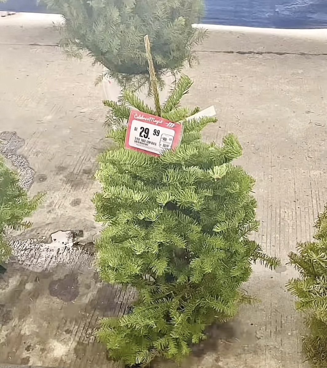 Out Of Context Panamá tweet media