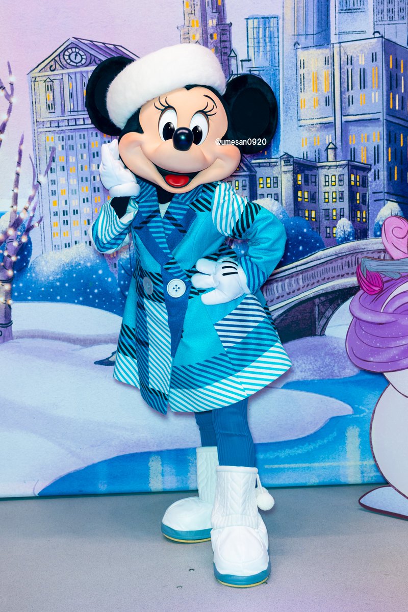 2025-12-04 撮り下ろし 東京ディズニーランド／ミニーのスタイル