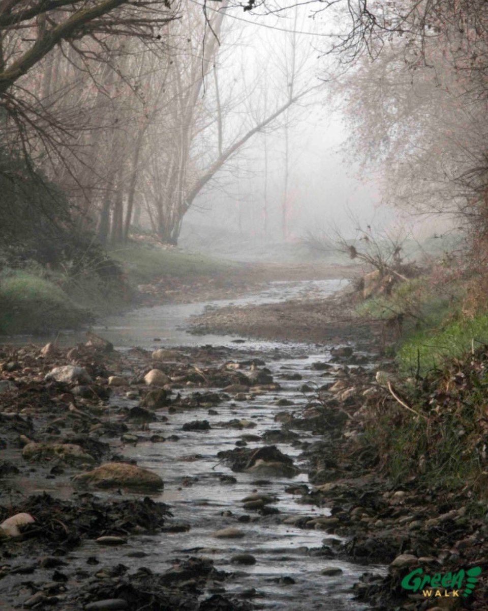 La niebla de la #hoyadeBaza envuelve el paisaje, creando un escenario mágico😍
The fog of #hoyadeBaza envelops the landscape, creating a magical setting.

#greenwalkes #caniles #geoparque #geoexperienciasotoño