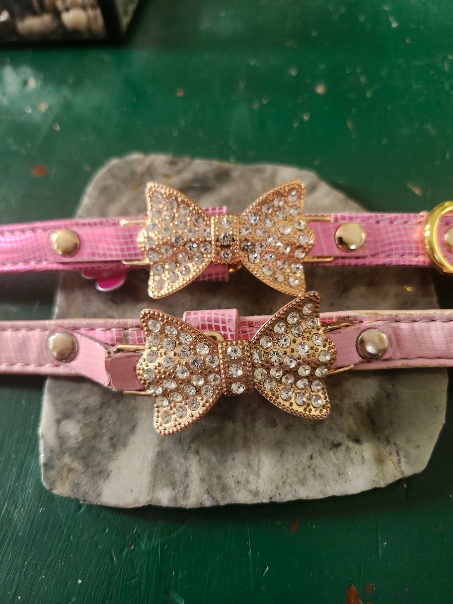 What a nice surprise to wake up to!

My fur baby looks fantastic in her new collar 😍 ❤️