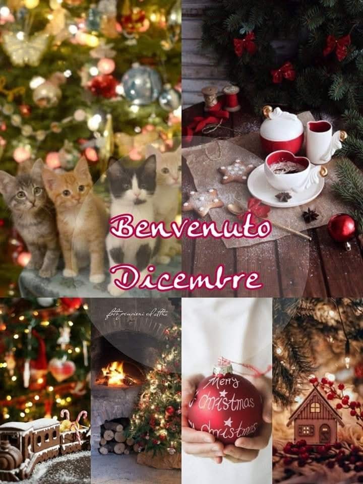 ΔΕΚΕΜΒΡΙΟΣ
Δεκέμβριε , καλώς όρισες,μήνα αγαπημένε,με του χειμώνα τις χαρές,απ’ τα λαμπιόνια φωτισμένε ,
των Δέντρων και των βιτρινών τα γιορτινά στολίδια,των Χριστουγέννων τις ευχές,τα δώρα, τα παιχνίδια.
Γιορτές πολλές απ’ την αρχή και ως το τέλος φέρνεις,ενός χρόνου τα