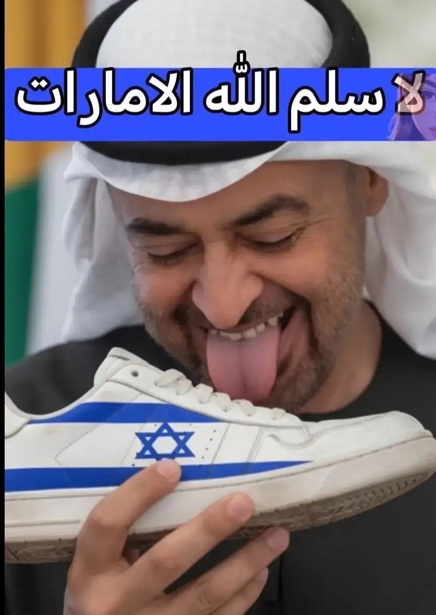 أسوء مخلوق أساء لسمعة أبيه 
كان الخائن للعرب والمسلمين الناقص بن زايد